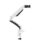 Quick Release Monitor Arms