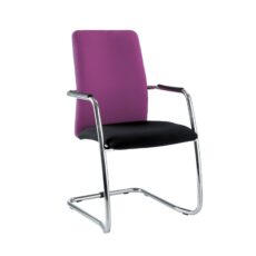 BREEZE Meeting Chair - Chrome