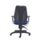 Call Centre Chair with adjustable 2D arms, ratchet back for spinal alignment, and wedge-shaped cushioning in blue.