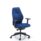 Deluxe Ergonomic Posture Chair in blue with height and depth adjustable arms.