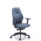 Deluxe Ergonomic Posture Chair in Grey with height and depth adjustable arms and a black base.