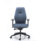 Deluxe Ergonomic Posture Chair in blue fabric, featuring height and depth adjustable arms, lumbar support, and high-backed design.