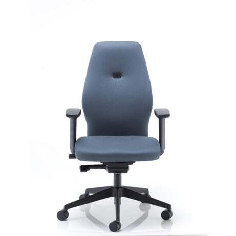 Deluxe Ergonomic Posture Chair in blue fabric, featuring height and depth adjustable arms, lumbar support, and high-backed design.