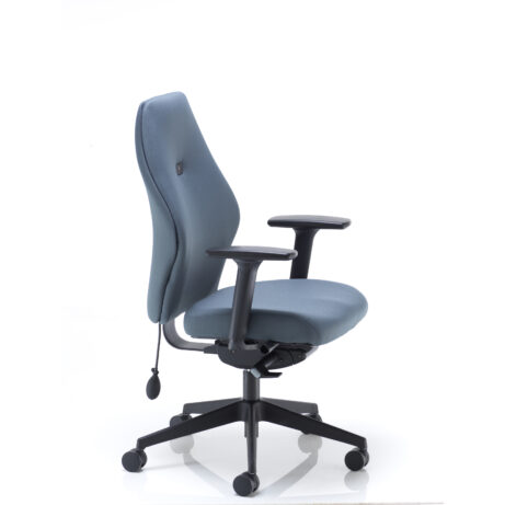 Deluxe Ergonomic Posture Chair with height/depth adjustable arms, inflatable lumbar support, high-backed design in blue fabric.
