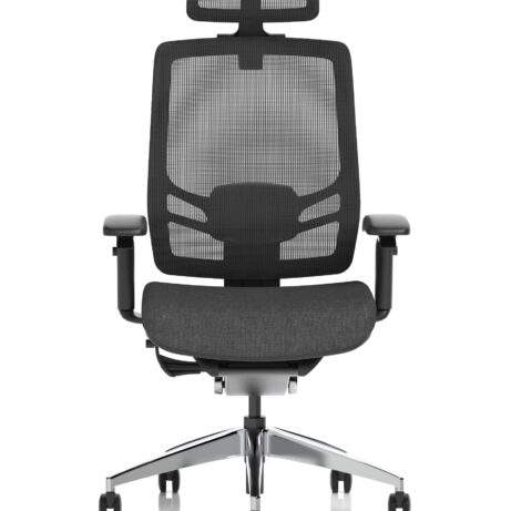 Ergo Click High Back Ergonomic Posture Office Chair with Arms