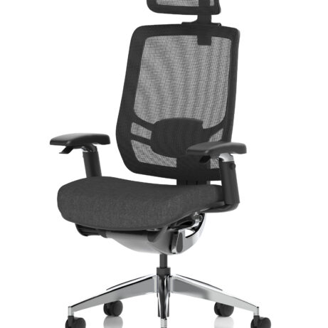 Ergo Click High Back Ergonomic Posture Office Chair with Arms