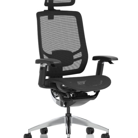 Ergo Click High Back Ergonomic Posture Office Chair with Arms