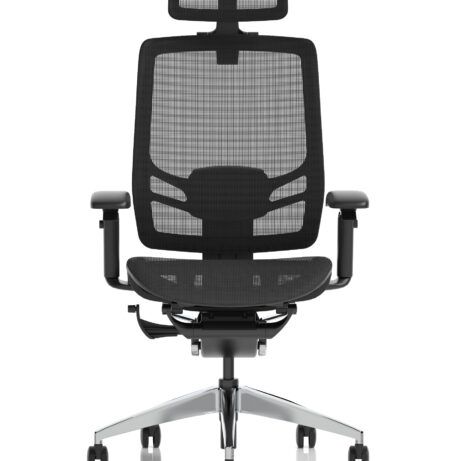 Ergo Click High Back Ergonomic Posture Office Chair with Arms