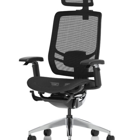 Ergo Click High Back Ergonomic Posture Office Chair with Arms