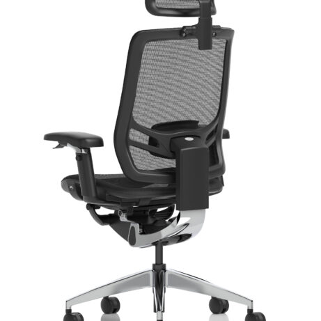 Ergo Click High Back Ergonomic Posture Office Chair with Arms