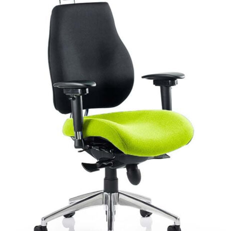 Chiro Plus Ultimate High Back Ergonomic Posture Chair with Arms and Headrest