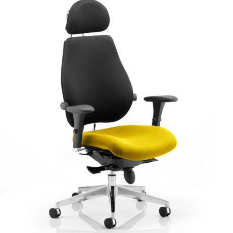 Chiro Plus Ultimate High Back Ergonomic Posture Chair with Arms and Headrest