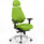 Chiro Plus Ultimate High Back Ergonomic Posture Chair with Arms and Headrest