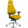 Chiro Plus Ultimate High Back Ergonomic Posture Chair with Arms and Headrest