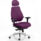 Chiro Plus Ultimate High Back Ergonomic Posture Chair with Arms and Headrest