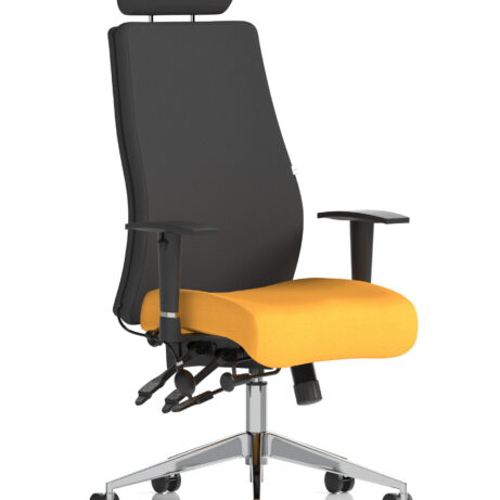 Onyx High Back Ergonomic Posture Chair with Height Adjustable Arms