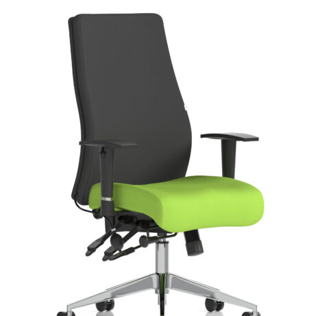 Onyx High Back Ergonomic Posture Chair with Height Adjustable Arms