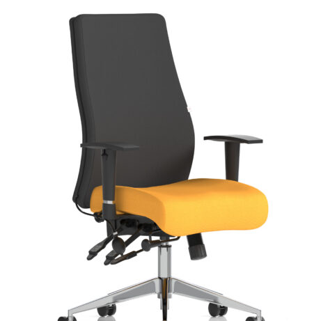 Onyx High Back Ergonomic Posture Chair with Height Adjustable Arms