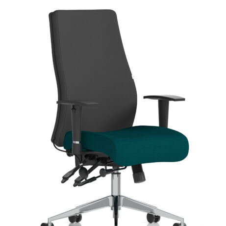 Onyx High Back Ergonomic Posture Chair with Height Adjustable Arms