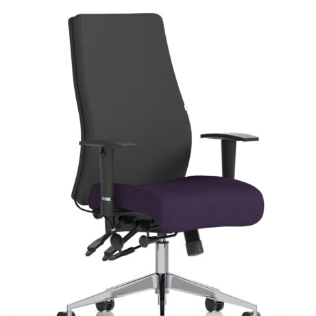 Onyx High Back Ergonomic Posture Chair with Height Adjustable Arms