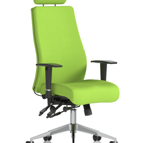Onyx High Back Ergonomic Posture Chair with Height Adjustable Arms