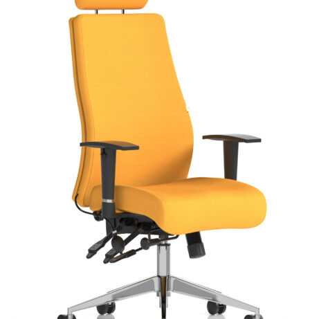 Onyx High Back Ergonomic Posture Chair with Height Adjustable Arms