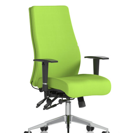 Onyx High Back Ergonomic Posture Chair with Height Adjustable Arms