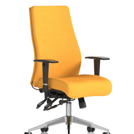 Onyx High Back Ergonomic Posture Chair with Height Adjustable Arms