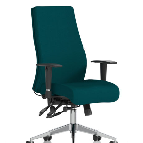 Onyx High Back Ergonomic Posture Chair with Height Adjustable Arms