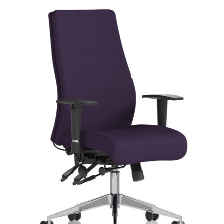 Onyx High Back Ergonomic Posture Chair with Height Adjustable Arms