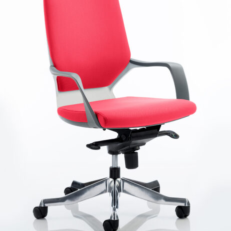 Xenon Medium Back Executive Office Chair with Arms