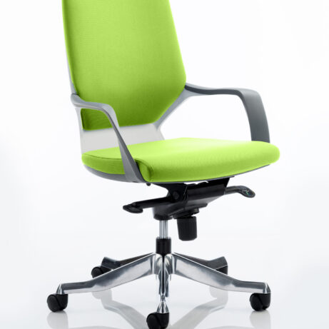 Xenon Medium Back Executive Office Chair with Arms
