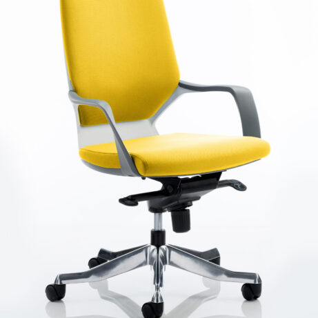 Xenon Medium Back Executive Office Chair with Arms