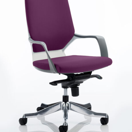 Xenon Medium Back Executive Office Chair with Arms