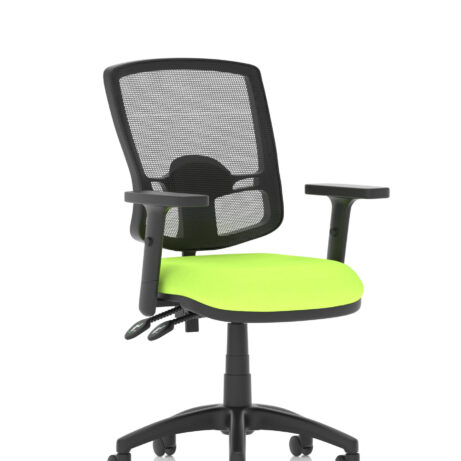 Eclipse Plus II Deluxe Mesh Back Task Operator Office Chair