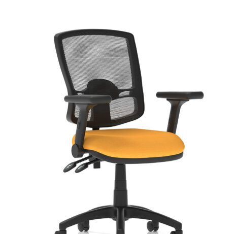 Eclipse Plus II Deluxe Mesh Back Task Operator Office Chair
