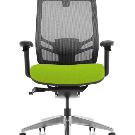 Ergo Click High Back Ergonomic Posture Office Chair with Arms