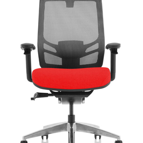 Ergo Click High Back Ergonomic Posture Office Chair with Arms