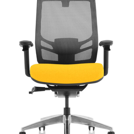 Ergo Click High Back Ergonomic Posture Office Chair with Arms