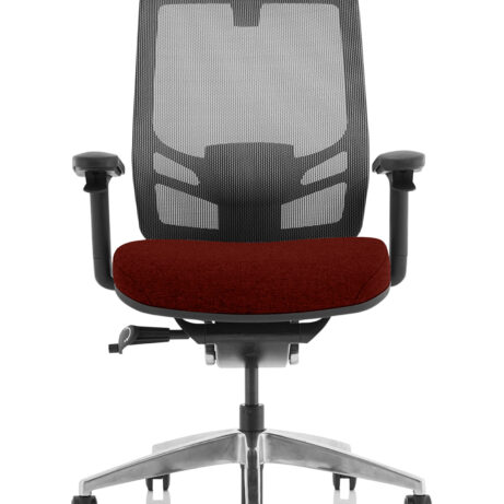 Ergo Click High Back Ergonomic Posture Office Chair with Arms