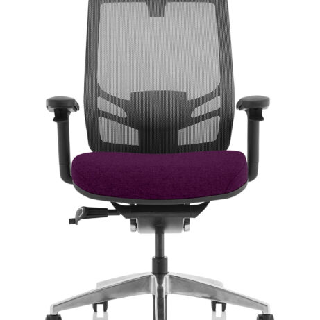 Ergo Click High Back Ergonomic Posture Office Chair with Arms