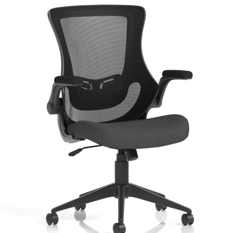 Orbit Black Mesh Back Chair with Bespoke Colour Seat in Quest Mussel, ergonomic design, and adjustable features.