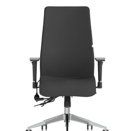 Onyx High Back Ergonomic Posture Chair with Height Adjustable Arms