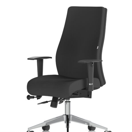 Onyx High Back Ergonomic Posture Chair with Height Adjustable Arms
