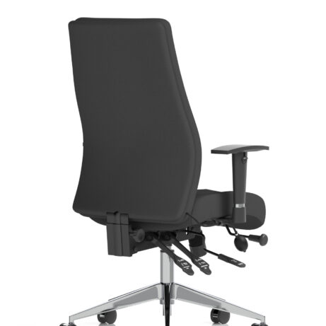 Onyx High Back Ergonomic Posture Chair with Height Adjustable Arms