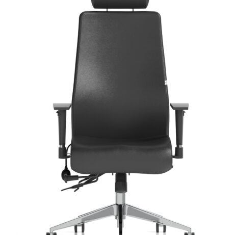 Onyx High Back Ergonomic Posture Chair with Height Adjustable Arms