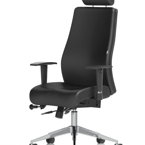 Onyx High Back Ergonomic Posture Chair with Height Adjustable Arms
