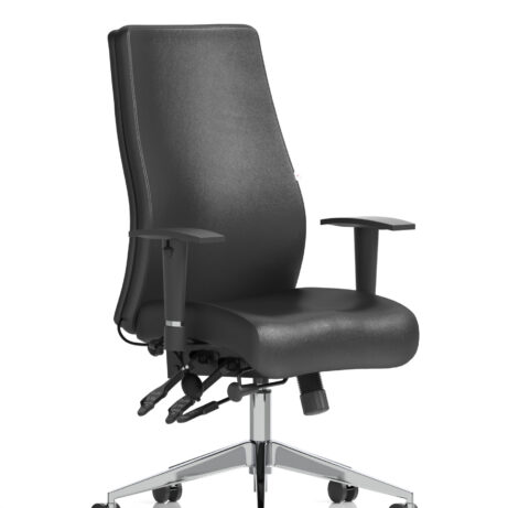 Onyx High Back Ergonomic Posture Chair with Height Adjustable Arms