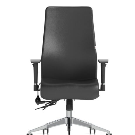 Onyx High Back Ergonomic Posture Chair with Height Adjustable Arms