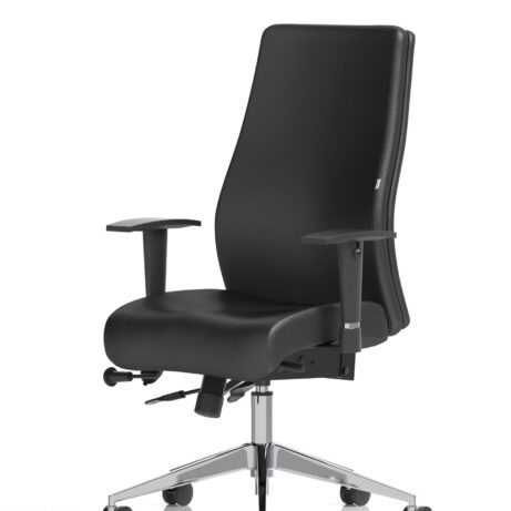 Onyx High Back Ergonomic Posture Chair with Height Adjustable Arms